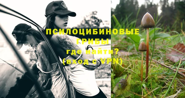прущая мука Нефтекумск