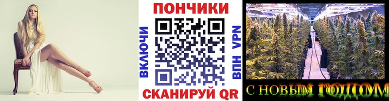 Конопля MAZAR  кракен ONION  Пошехонье 