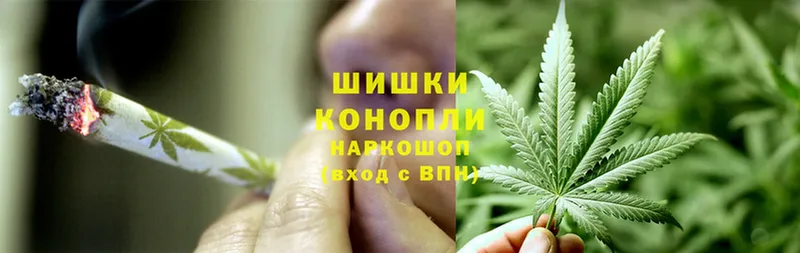 Шишки марихуана SATIVA & INDICA  kraken онион  Пошехонье 